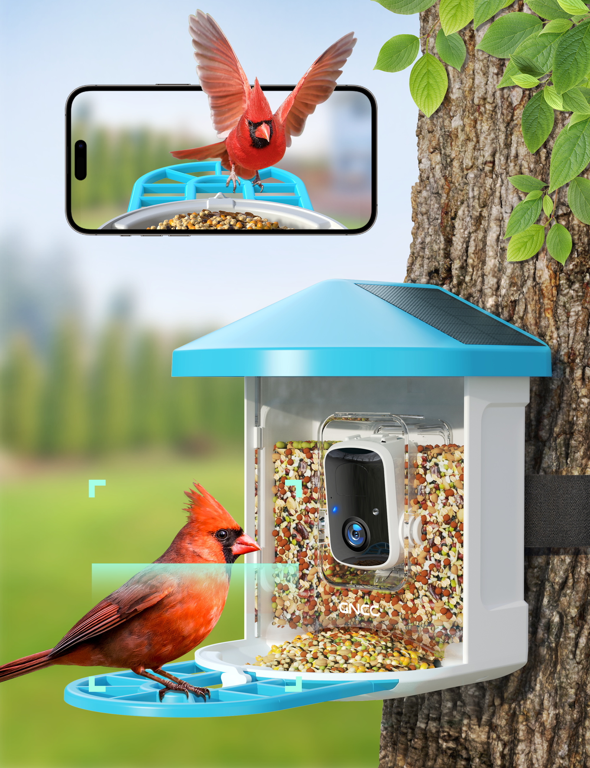 GNCC Smart Bird Feeder with 1080P Solar Camera Wild Bird Feeders Squirrel Proof